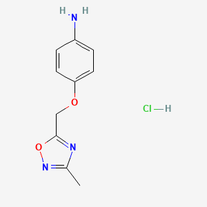 molecular formula C10H12ClN3O2 B1443032 4-[(3-甲基-1,2,4-恶二唑-5-基)甲氧基]苯胺盐酸盐 CAS No. 1306605-94-6
