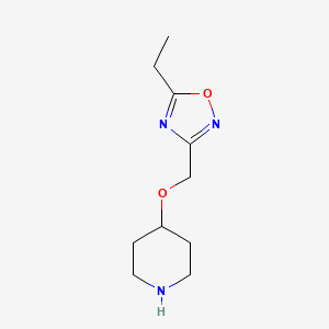 molecular formula C10H17N3O2 B1443037 4-[(5-乙基-1,2,4-恶二唑-3-基)甲氧基]哌啶 CAS No. 1251082-22-0