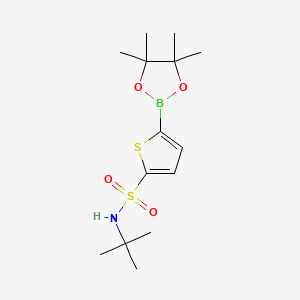 molecular formula C14H24BNO4S2 B1443092 N-tert-butyl-5-(4,4,5,5-tetramethyl-1,3,2-dioxaborolan-2-yl)thiophene-2-sulfonamide CAS No. 951233-59-3