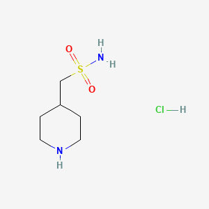 B1443219 Piperidin-4-ylmethanesulfonamide hydrochloride CAS No. 1251925-40-2