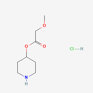molecular formula C8H16ClNO3 B1443297 4-哌啶基 2-甲氧基乙酸盐酸盐 CAS No. 1220031-63-9