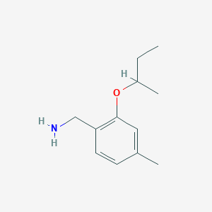 molecular formula C12H19NO B1443484 [2-(Butan-2-yloxy)-4-methylphenyl]methanamine CAS No. 1248102-90-0