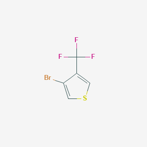 molecular formula C5H2BrF3S B1443538 3-溴-4-(三氟甲基)噻吩 CAS No. 1803583-11-0