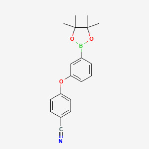 molecular formula C19H20BNO3 B1443676 4-[3-(四甲基-1,3,2-二氧杂硼烷-2-基)苯氧基]苯腈 CAS No. 2096998-25-1