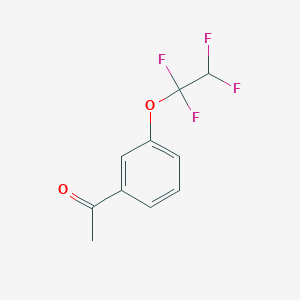 molecular formula C10H8F4O2 B1443721 1-[3-(1,1,2,2-四氟乙氧基)苯基]乙酮 CAS No. 101975-16-0