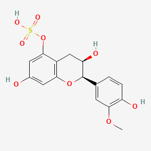 molecular formula C16H16O9S B1443761 3'-Methylepicatechin-5-sulfate CAS No. 1373035-55-2