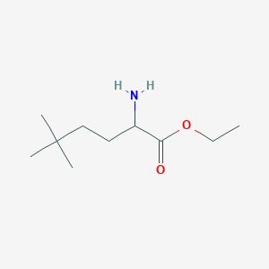 molecular formula C10H21NO2 B1443995 2-氨基-5,5-二甲基己酸乙酯 CAS No. 1341792-94-6