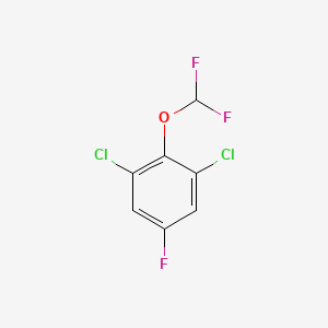 1,3-Dichloro-2-(difluoromethoxy)-5-fluoro-benzene