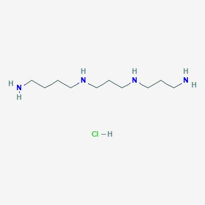 molecular formula C10H27ClN4 B1444179 N1-(3-((3-アミノプロピル)アミノ)プロピル)ブタン-1,4-ジアミン塩酸塩 CAS No. 1255099-40-1