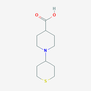 molecular formula C11H19NO2S B1444197 1-(thian-4-yl)piperidine-4-carboxylic acid CAS No. 1158239-70-3