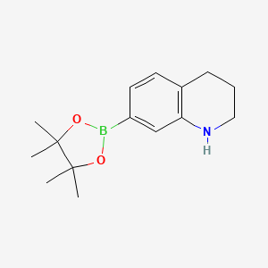 molecular formula C15H22BNO2 B1444438 7-(4,4,5,5-Tetramethyl-1,3,2-dioxaborolan-2-yl)-1,2,3,4-tetrahydroquinoline CAS No. 1235142-07-0