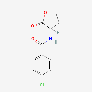 p-Chloro-N-(2-oxotetrahydro-3-furyl)benzamide