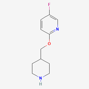 molecular formula C11H15FN2O B1445040 5-氟-2-(哌啶-4-基甲氧基)吡啶 CAS No. 1248781-04-5