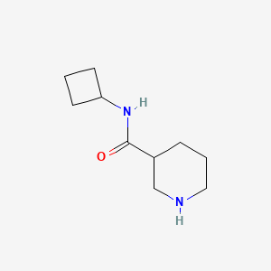 molecular formula C10H18N2O B1445076 N-cyclobutylpiperidine-3-carboxamide CAS No. 1249648-06-3