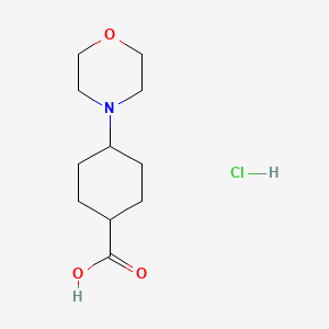 molecular formula C11H20ClNO3 B1445438 4-(吗啉-4-基)环己烷-1-羧酸盐酸盐 CAS No. 1803585-30-9