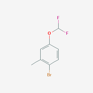 molecular formula C8H7BrF2O B1445458 1-溴-4-(二氟甲氧基)-2-甲基苯 CAS No. 1021172-76-8