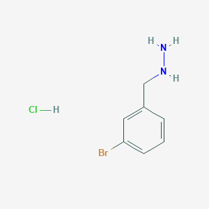 molecular formula C7H10BrClN2 B1445663 [(3-Bromophenyl)methyl]hydrazine hydrochloride CAS No. 1384427-52-4
