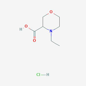 molecular formula C7H14ClNO3 B1445704 4-乙基吗啉-3-羧酸盐酸盐 CAS No. 1427378-51-5