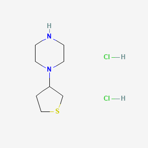 molecular formula C8H18Cl2N2S B1445707 1-(Thiolan-3-yl)piperazine dihydrochloride CAS No. 1376228-74-8