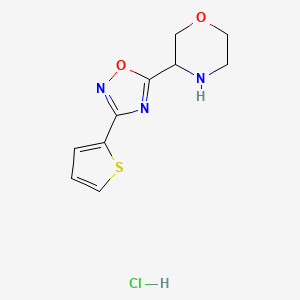 molecular formula C10H12ClN3O2S B1445933 3-[3-(Thiophen-2-yl)-1,2,4-oxadiazol-5-yl]morpholine hydrochloride CAS No. 1803584-73-7