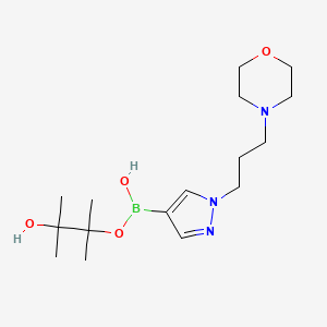 molecular formula C16H30BN3O4 B1445962 1-(3-吗啉代丙基)-1H-吡唑-4-硼酸频哪醇酯 CAS No. 1092500-87-2