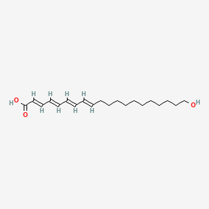 20-Hydroxy-eicosatetraenoic acid