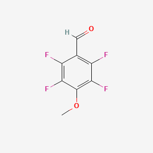 molecular formula C8H4F4O2 B1446034 2,3,5,6-四氟-4-甲氧基苯甲醛 CAS No. 19161-44-5