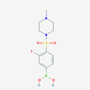 molecular formula C11H16BFN2O4S B1446159 (3-氟-4-((4-甲基哌嗪-1-基)磺酰基)苯基)硼酸 CAS No. 1447713-71-4