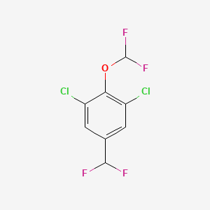 molecular formula C8H4Cl2F4O B1446298 3,5-Dichloro-4-(difluoromethoxy)benzodifluoride CAS No. 1806296-77-4