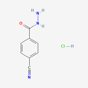 B1446324 4-Cyanobenzohydrazide hydrochloride CAS No. 1865223-60-4