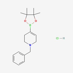 molecular formula C18H27BClNO2 B1446446 1-苄基-4-(4,4,5,5-四甲基-1,3,2-二氧杂硼环-2-基)-1,2,3,6-四氢吡啶盐酸盐 CAS No. 1383706-53-3