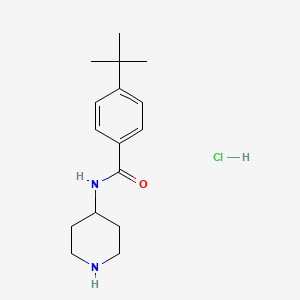molecular formula C16H25ClN2O B1446585 4-叔丁基-N-哌啶-4-基苯甲酰胺盐酸盐 CAS No. 1638612-58-4