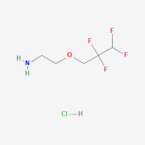 molecular formula C5H10ClF4NO B1446941 2-(2,2,3,3-四氟丙氧基)乙胺盐酸盐 CAS No. 1803607-46-6