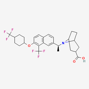 molecular formula C28H31F6NO3 B1447072 8-((S)-1-(8-(三氟甲基)-7-((1s,4R)-4-(三氟甲基)环己氧基)萘-2-基)乙基)-8-氮杂双环[3.2.1]辛烷-3-羧酸 CAS No. 1548743-66-3