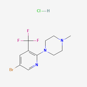 molecular formula C11H14BrClF3N3 B1447091 1-[5-溴-3-(三氟甲基)-2-吡啶基]-4-甲基-哌嗪盐酸盐 CAS No. 1432053-99-0