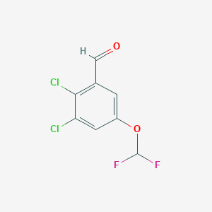 molecular formula C8H4Cl2F2O2 B1447284 2,3-Dichloro-5-(difluoromethoxy)benzaldehyde CAS No. 1803787-03-2