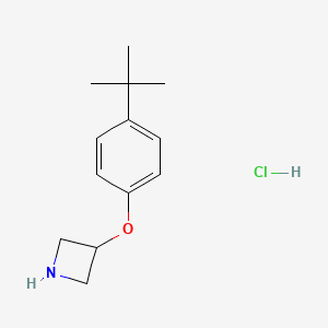 molecular formula C13H20ClNO B1447550 3-[4-(叔丁基)苯氧基]氮杂环丁烷盐酸盐 CAS No. 1449117-39-8