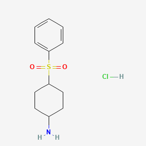 molecular formula C12H18ClNO2S B1447651 4-(Benzenesulfonyl)cyclohexan-1-amine hydrochloride CAS No. 1864062-89-4