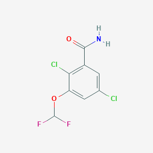 molecular formula C8H5Cl2F2NO2 B1447698 2,5-Dichloro-3-(difluoromethoxy)benzamide CAS No. 1805124-08-6