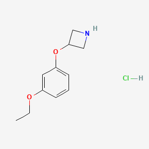 molecular formula C11H16ClNO2 B1447791 3-(3-乙氧基苯氧基)氮杂环丁烷盐酸盐 CAS No. 1820684-52-3
