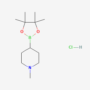 molecular formula C12H25BClNO2 B1447823 1-甲基-4-(4,4,5,5-四甲基-1,3,2-二氧杂硼杂环-2-基)哌啶盐酸盐 CAS No. 2379560-96-8