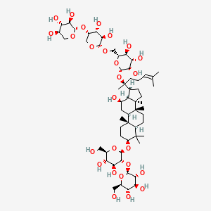molecular formula C58H98O26 B1447888 Ginsenoside Ra1 CAS No. 83459-41-0