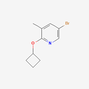 molecular formula C10H12BrNO B1448010 5-溴-2-环丁氧基-3-甲基吡啶 CAS No. 1289177-22-5