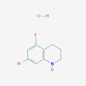 molecular formula C9H10BrClFN B1448039 7-Bromo-5-fluoro-1,2,3,4-tetrahydroquinoline hydrochloride CAS No. 1432681-93-0