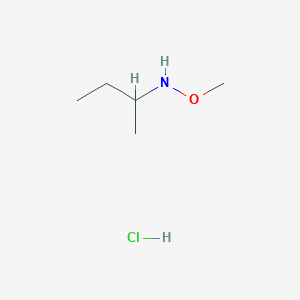 molecular formula C5H14ClNO B1448044 (丁-2-基)(甲氧基)胺盐酸盐 CAS No. 1421602-73-4