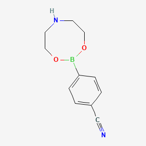 molecular formula C11H13BN2O2 B1448129 4-(1,3,6,2-二氧杂硼杂环戊烷-2-基)苯甲腈 CAS No. 1280078-62-7