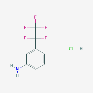molecular formula C8H7ClF5N B1448214 3-(1,1,2,2,2-五氟乙基)苯胺盐酸盐 CAS No. 1803593-11-4