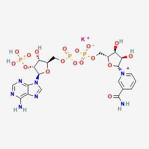 molecular formula C21H27KN7O17P3 B1448223 NADP 一钾盐 CAS No. 68141-45-7