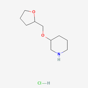 molecular formula C10H20ClNO2 B1448432 3-(Tetrahydro-2-furanylmethoxy)piperidine hydrochloride CAS No. 933736-25-5