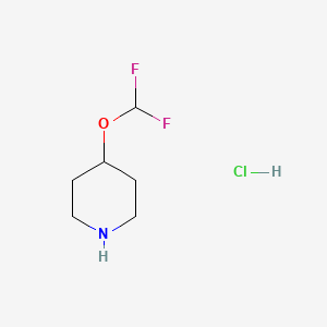 molecular formula C6H12ClF2NO B1448477 4-(二氟甲氧基)哌啶盐酸盐 CAS No. 1630907-16-2
